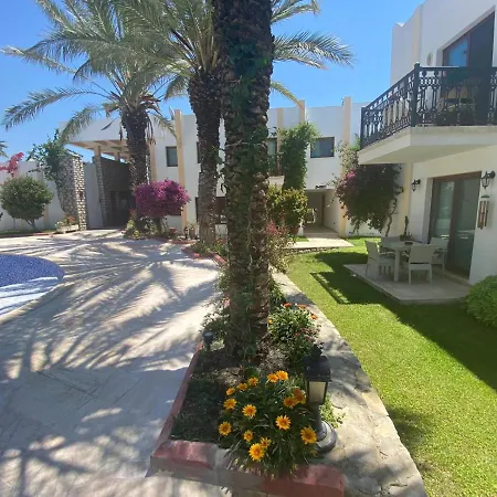 Cute 2+1 Apt With Common Pool - Centre 아파트 *